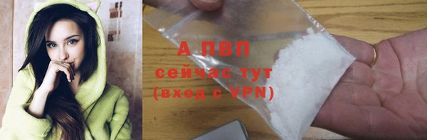шишки Баксан