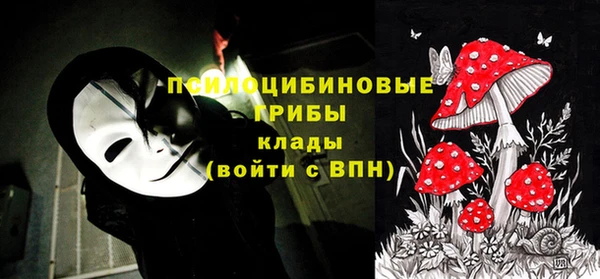 МДПВ Балахна
