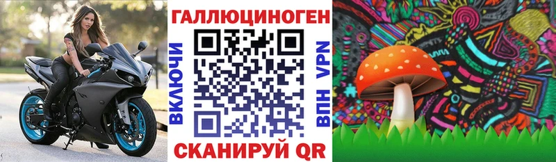Купить закладки  Сурск  Псилоцибиновые грибы Magic Shrooms 