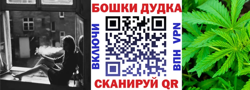 Конопля план  Купить  Сурск 